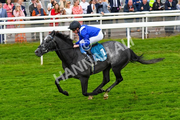 190523-Race 5-Mostabshir-0665 - Race 5 4.10pm Darley Novice Stakes