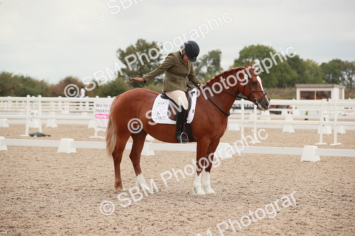 SBM_06109 - Class 33 - Elementary 1