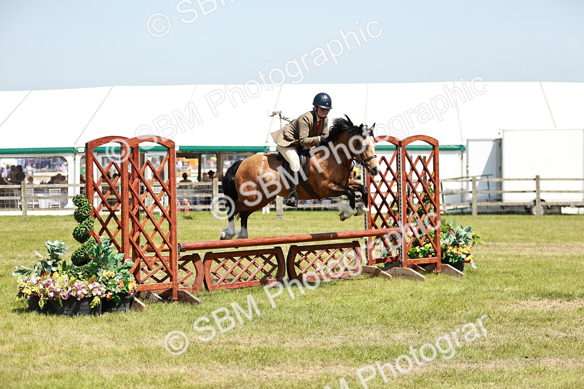 SBM_16343 - Class 110-111 - Training Stakes (70cms 80cms)