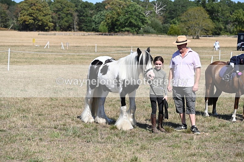 WJ6_9340 - Class 40 Cheekiest Pony/Horse