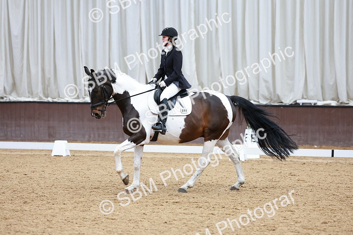 SBM_002994 - Class 14 - Novice 2