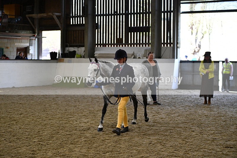 WJ5_4479 - Class 3 Part Bred In hand