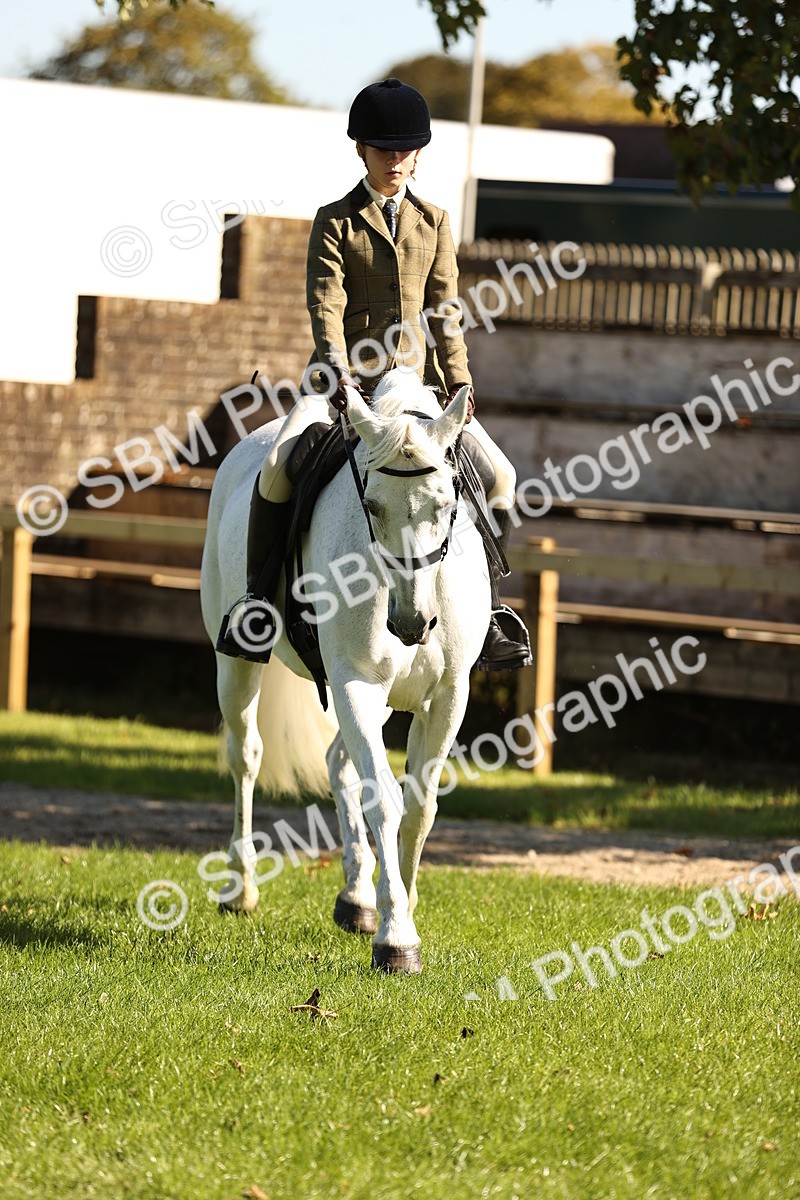 SBM_19127 - S3 - TSR Ridden Pony Showing