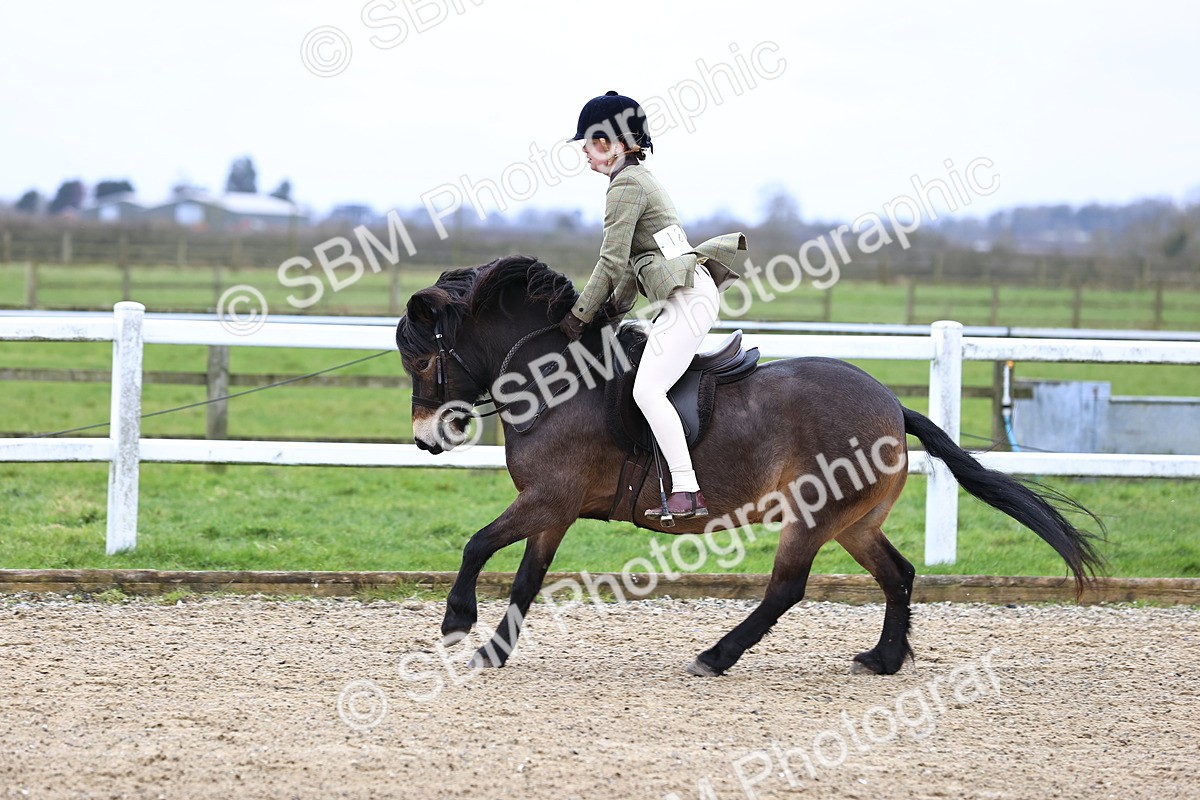 SBM_006785 - Class 29 - 30 - M&M Pure Novice Small-Large Breeds