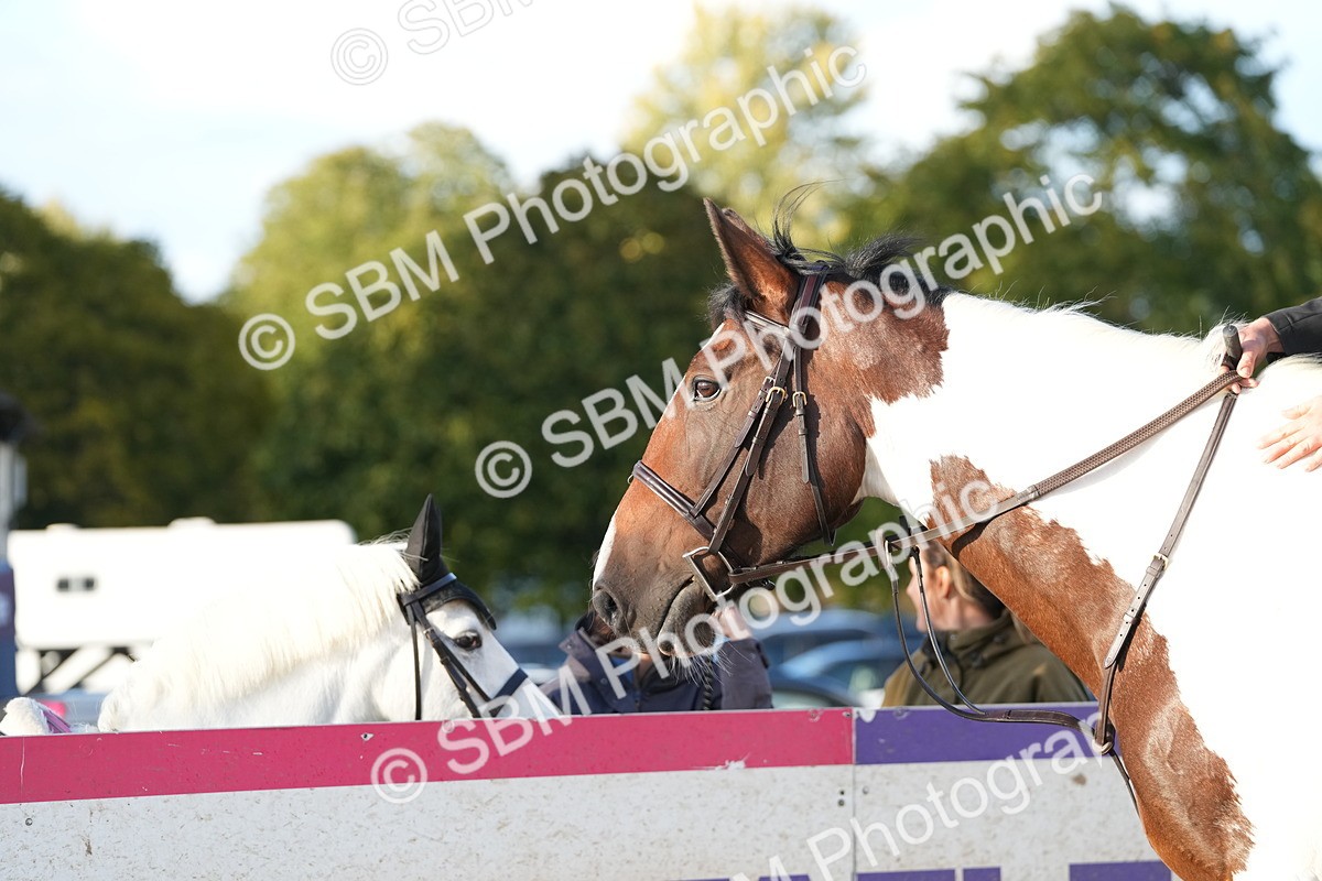 SBM_29403 - J44 - Horse & Hound Open 70cm