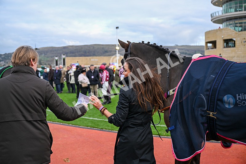 161125-Race 3-Cabhfuilfungi-5784 - Race 3