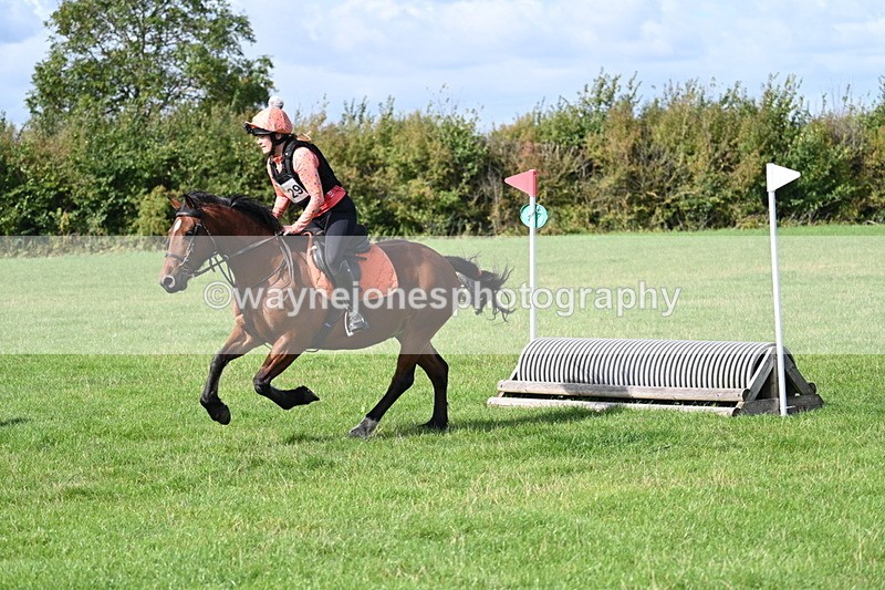 WJ7_9550 - Time 12:12 to 12:40