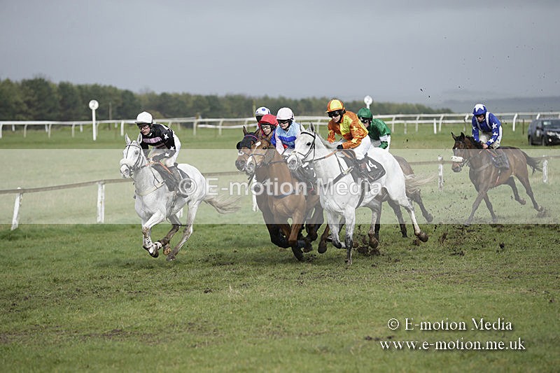 PtP 150320 0382 - New Forest Point-to-Point Larkhill 15/03/20