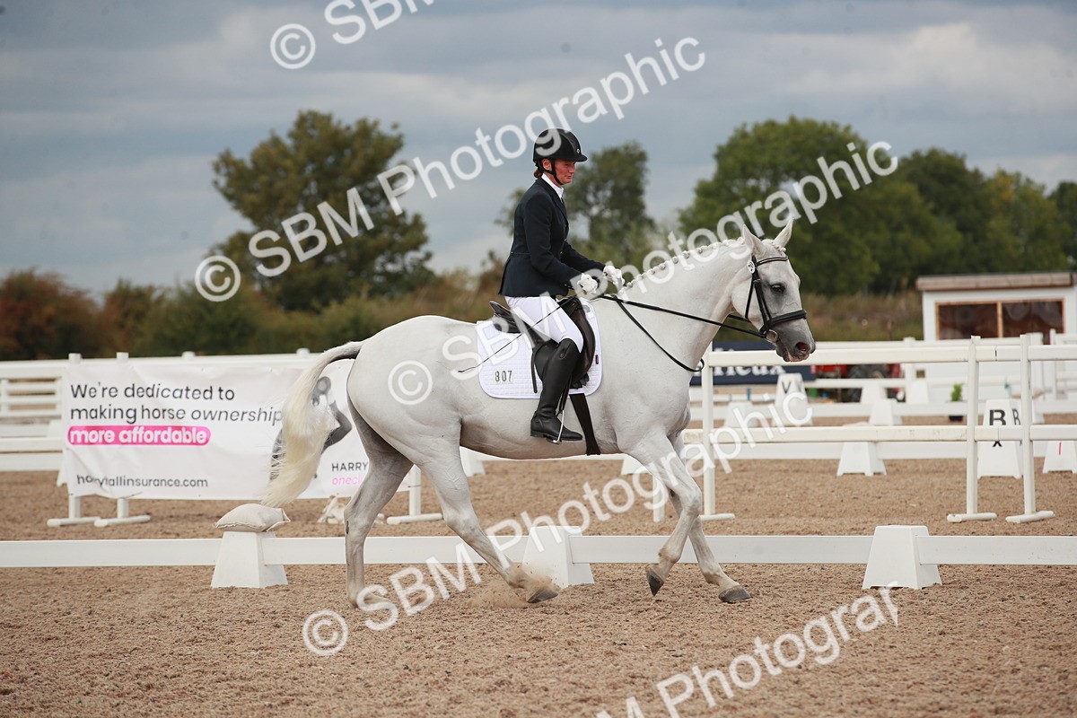 SBM_06023 - Class 32 - Novice 1