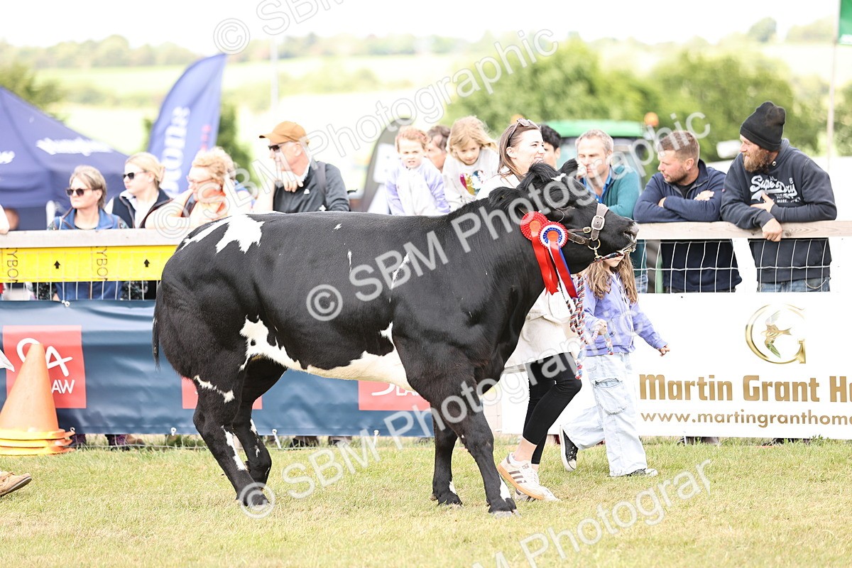 SBM_16886 - Grand Parade