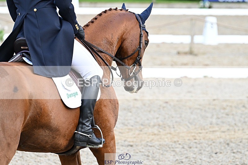 231019-160704-05249 - 066-FJK.OVER.AND.OUT-Alicia.Wilkinson-DR