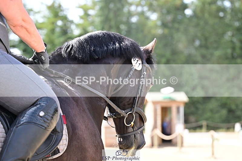 260802A-115336-05996 - Novice Silver break- end