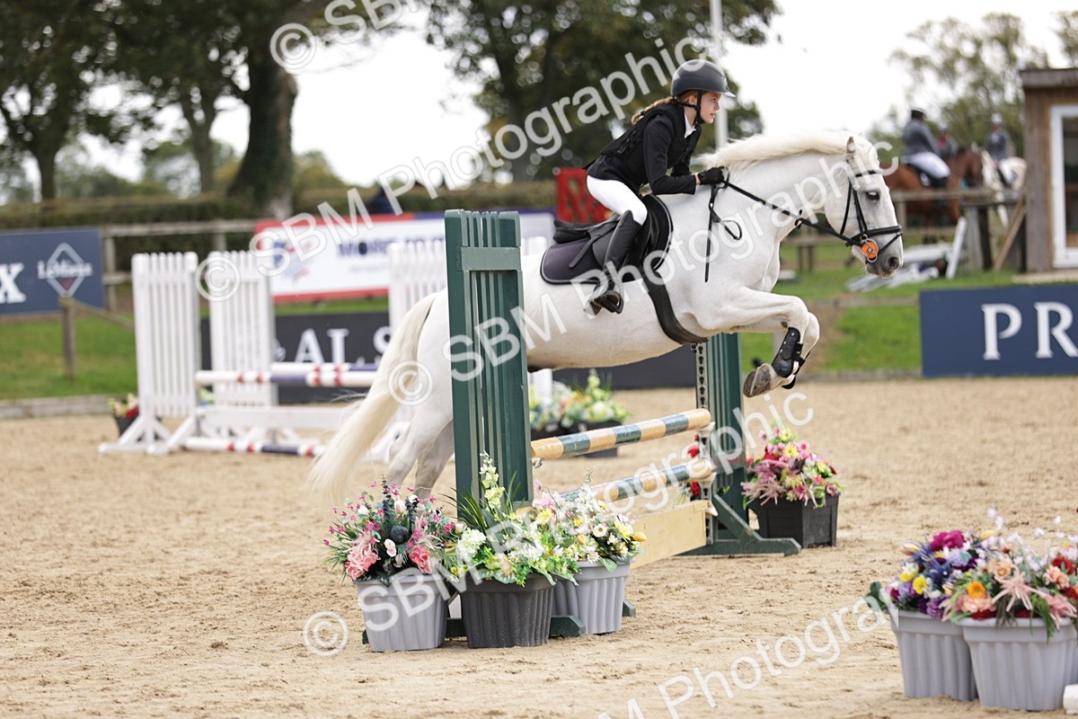 SBM_22353 - J59 - Clear Round 75cm