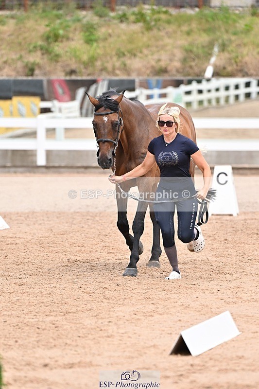 250716-142039-01024 - Trot Up 1.30 to 2.30