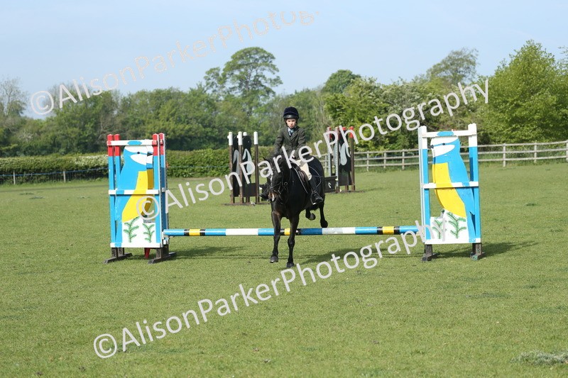 20260426-0203 - Class 13 - Rookie Jumping 50cm