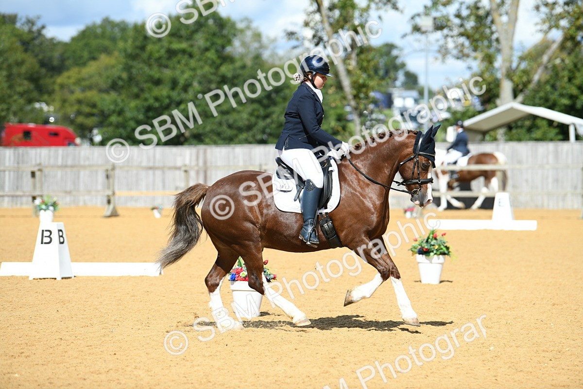 SBM_06426 - D15 Small Tour Championship Novice 24