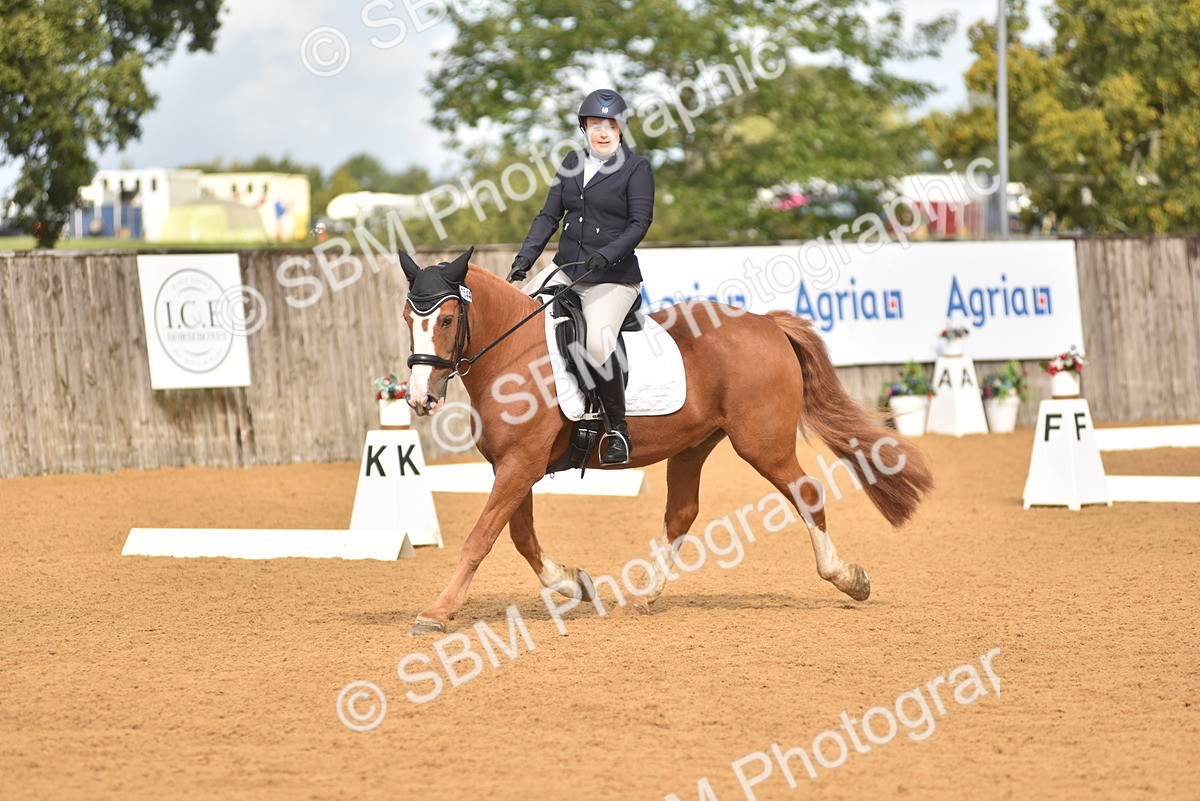 SBM_03613 - D15 - Small Tour Championship Novice 1