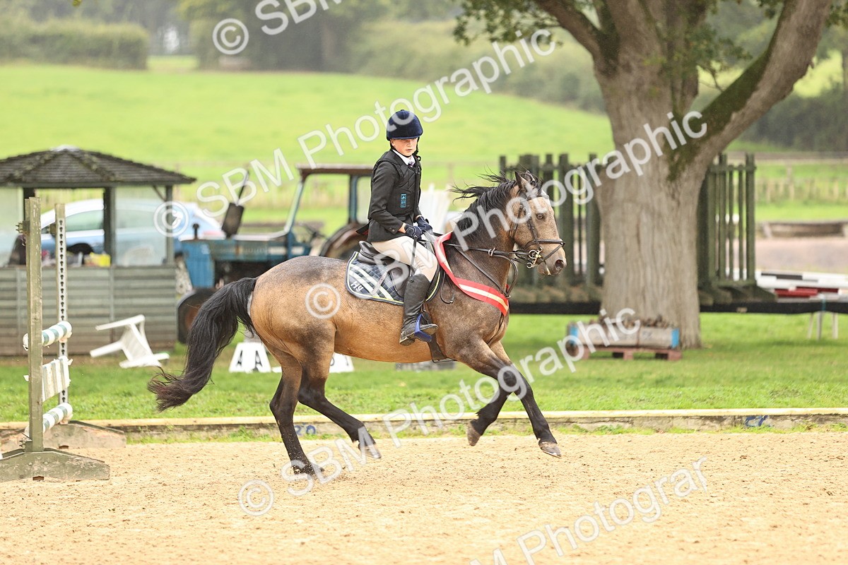 SBM_70109 - Supreme Championship 80cm 85cm
