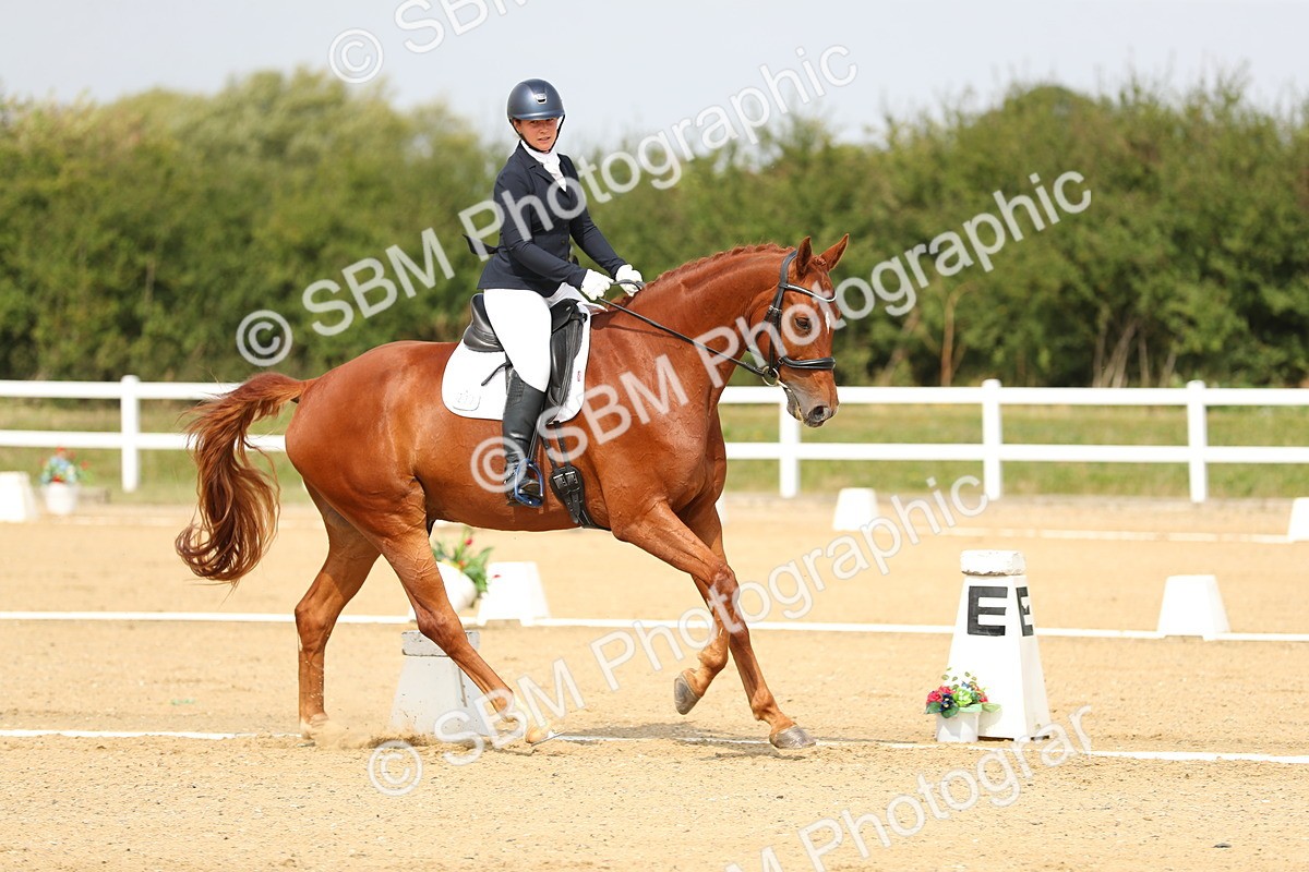 SBM_017293 - Class 13 - Novice 23 - 13.31-14.13