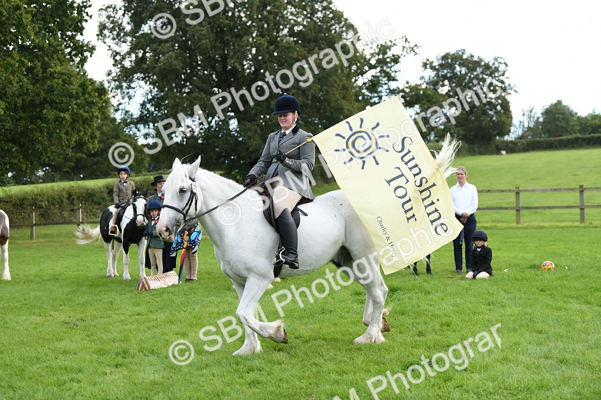 SBM_47194 - S12 - Family Horse & Pony
