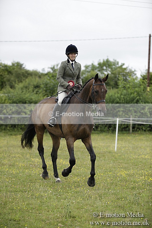 BVR160717-1064 - Ring 1 BVRC Show 16/07/17