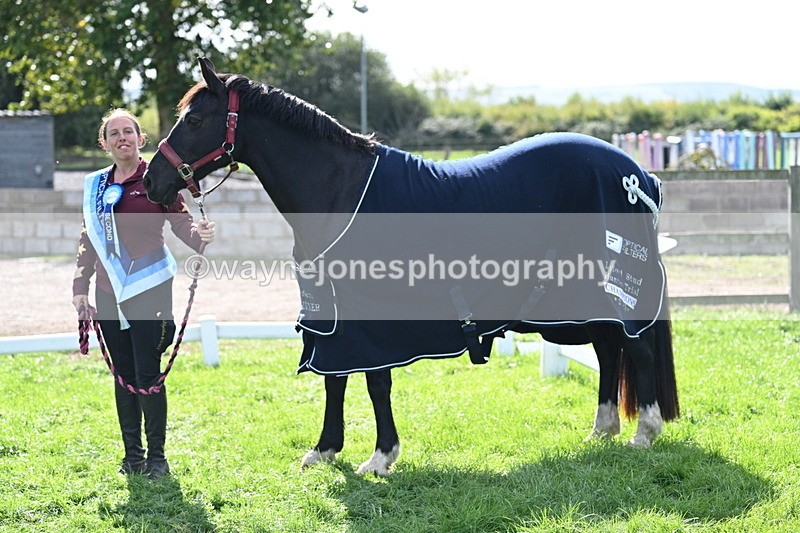 WJ7_1717 - 80cm Champs