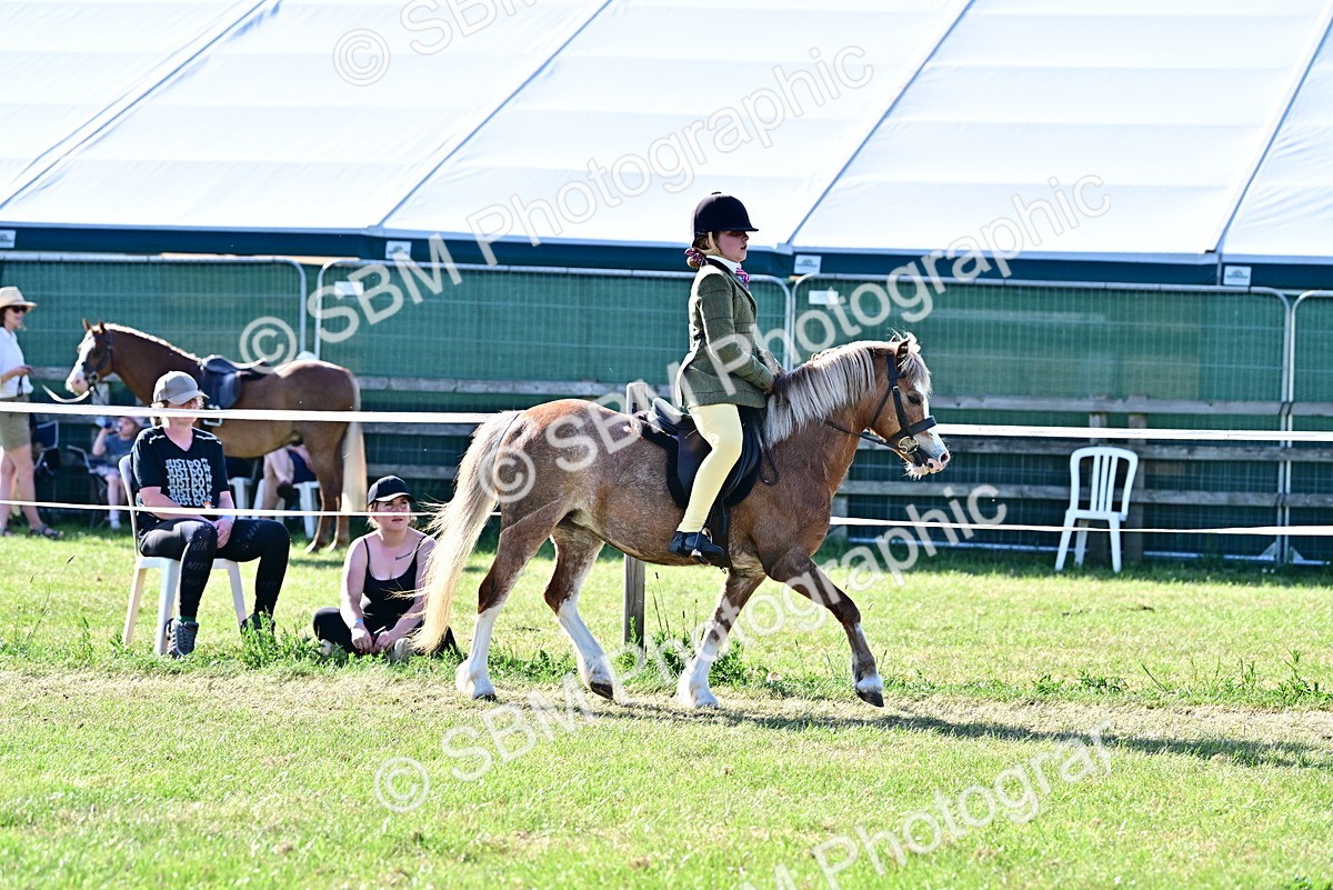 SBM_19852 - Class 103 - 105 - TSR Ridden Amateur of the Year Plaited Ponies