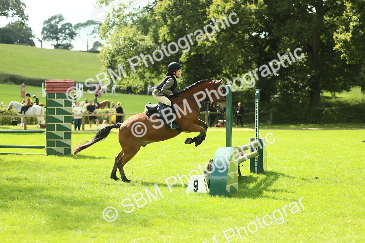 SBM_44621 - S31 - Working Hunter Pony