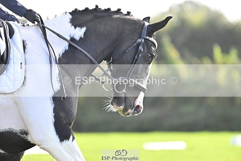 241025-142554-09647 - 387-Kelly.Knockaert-PIPER.II