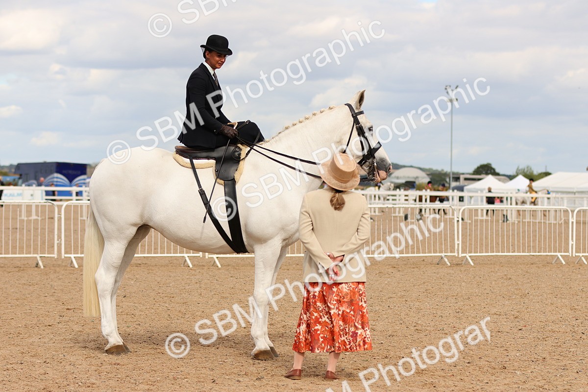 SBM_15910 - Class 216 - Best Side Saddle Horse-Pony