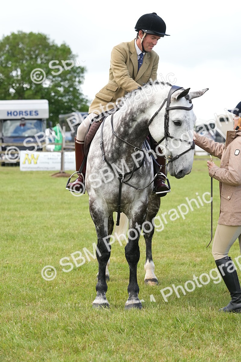 SBM_14905 - Class 100-102 - RIHS Working Hunter