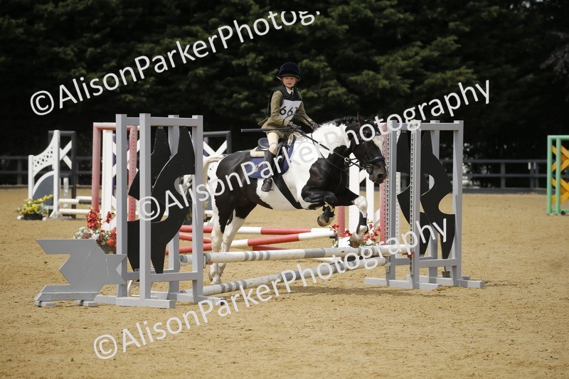 20250622-4753 - 50cm