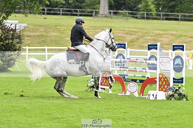 250613A-123858-01857 - Cls 3 Snr Foxhunter