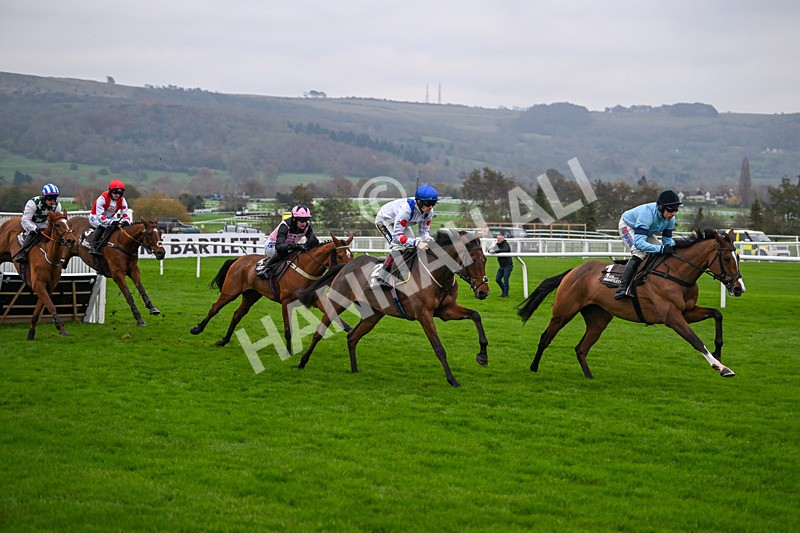 151124-Race 5-Potters Charm-8403 - Race 5