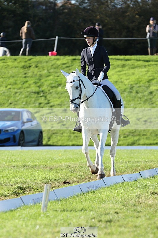 251024A-144133-14095 - F-479-Poppy.Wellman