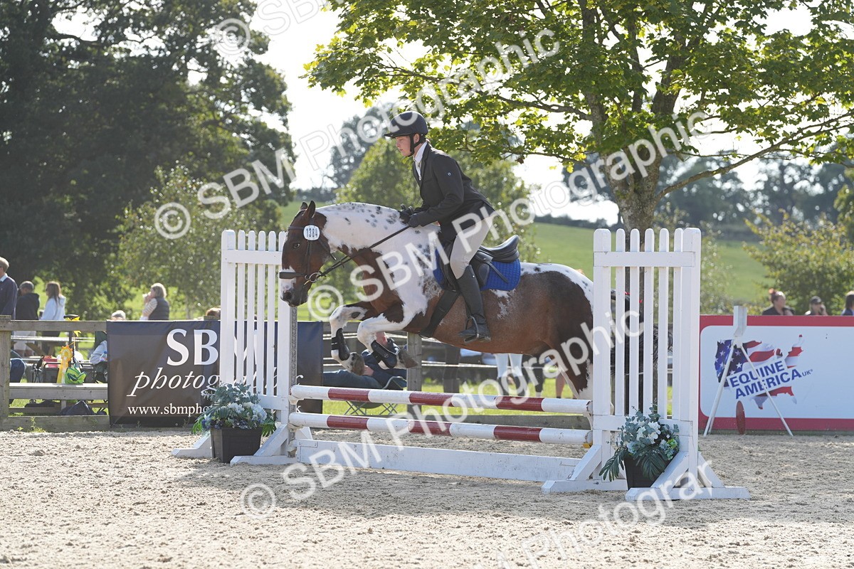 SBM_48776 - J22 - Junior Horse 65cm Championship