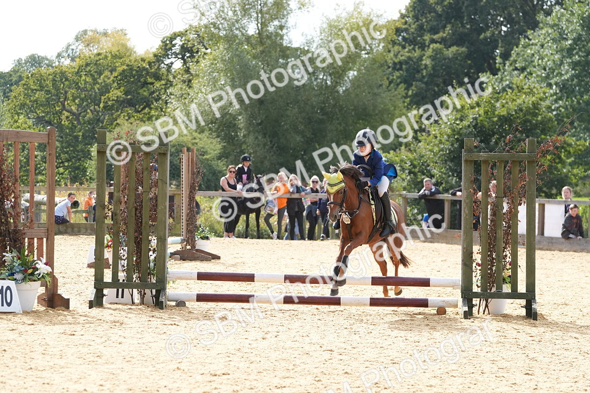 SBM_68460 - J3 - Mini Tour Junior Pony 40cm Championship