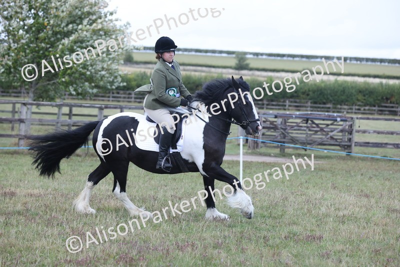 20250831-4378 - Class 20 - Ridden Coloured