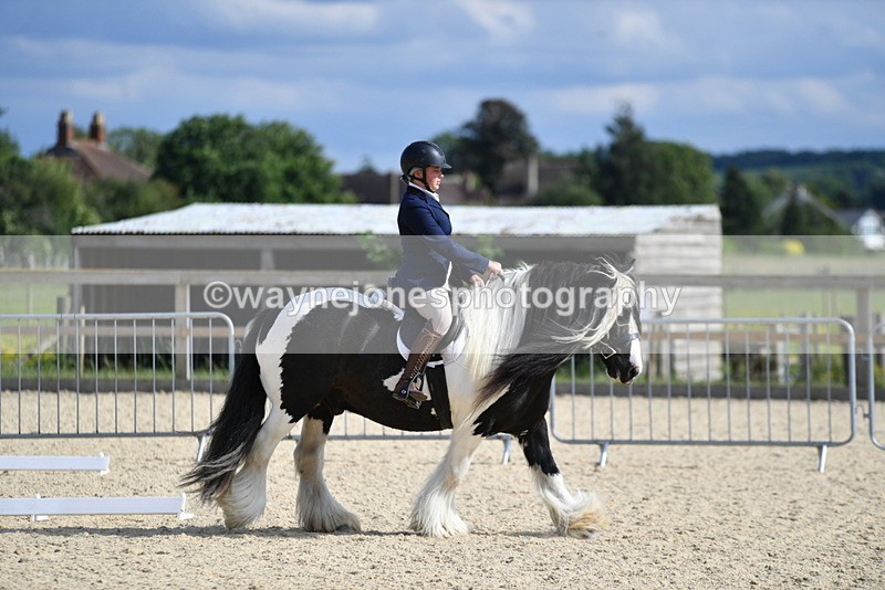 WJ5_7745 - Time 16:40 to 16:55