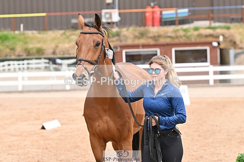 250716-144831-01423 - Trot Up 2.30 to 3.30