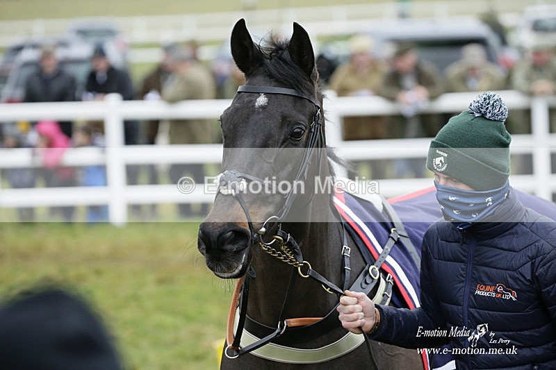 PtP 020122 260 - Larkhill Racing Club Point-to-Point 02/01/2022