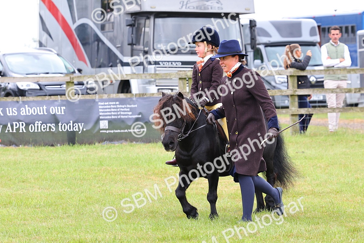 SBM_08158 - Class 42-43 - LIHS BSPS Heritage Working Sports Pony
