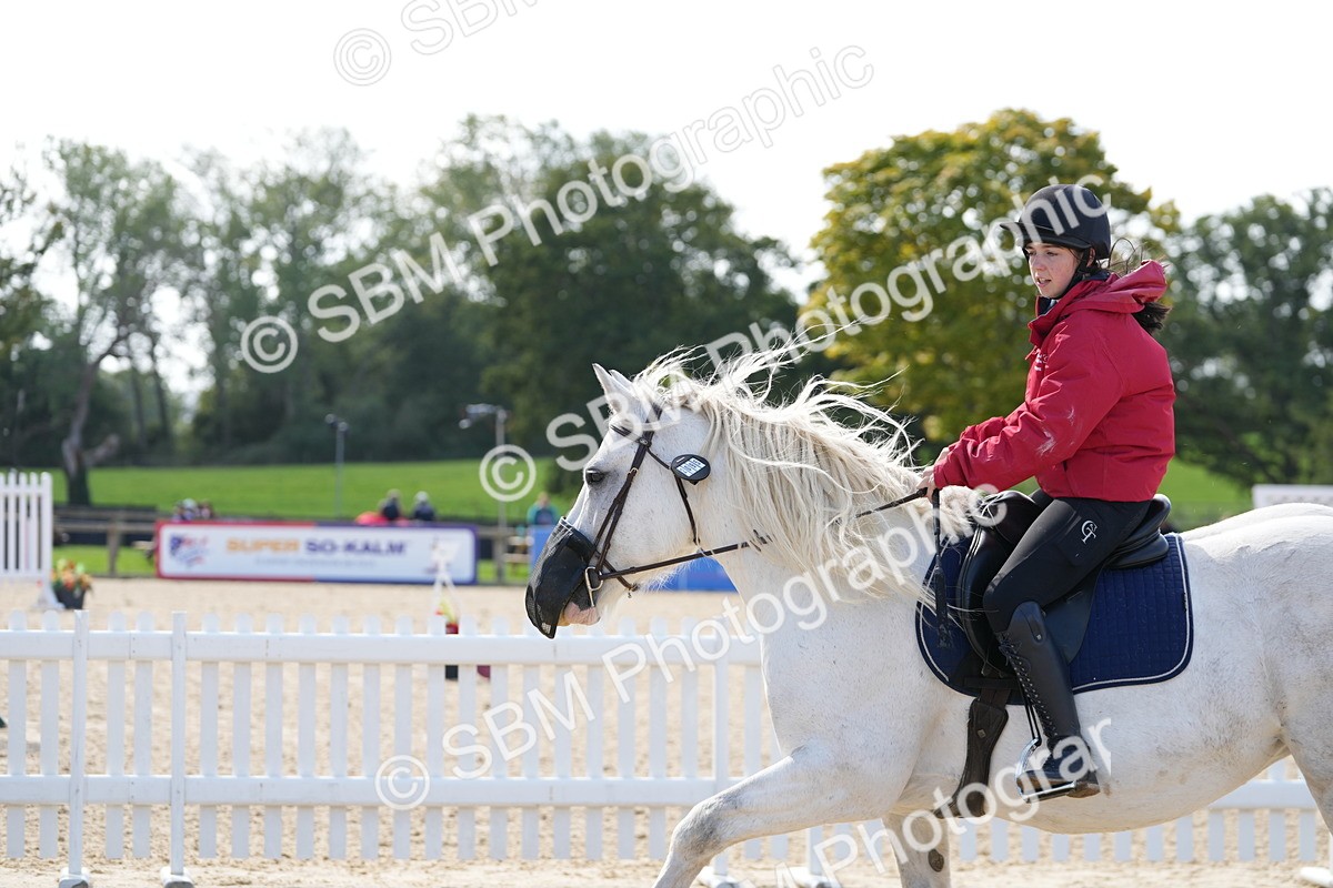 SBM_18112 - J58 - Clear Round 50cm