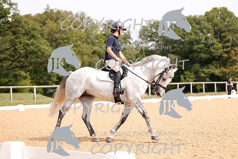 _R6A2766 - Dressage Morning