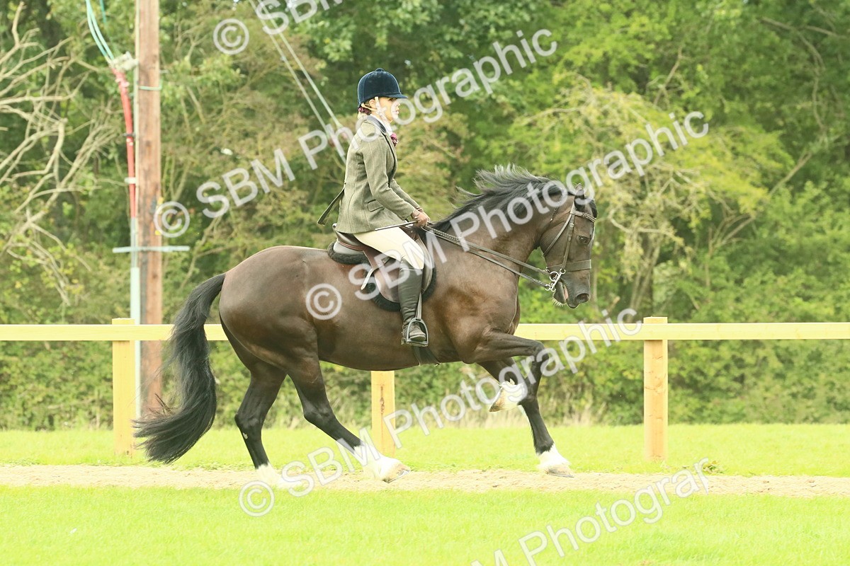 SBM_71917 - S60 - Mountain & Moorland Ridden Large Breeds