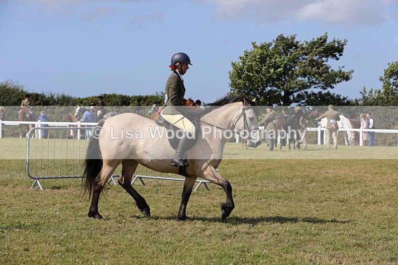 1X9A5564 - Class 38: NPS Novice Ridden Small and Large Breeds