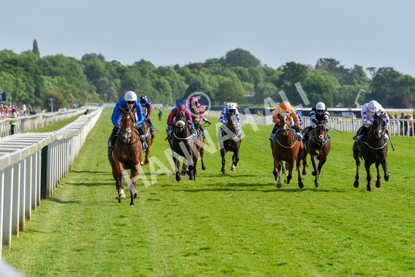 270523-Race 7-Shining Blue-4661 - Race 7 5.00pm Reg Bond Always And Forever Handicap