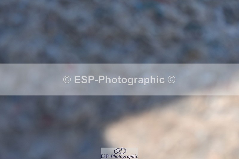 230520A-095135-01691 - Cls 3 Prelim 7