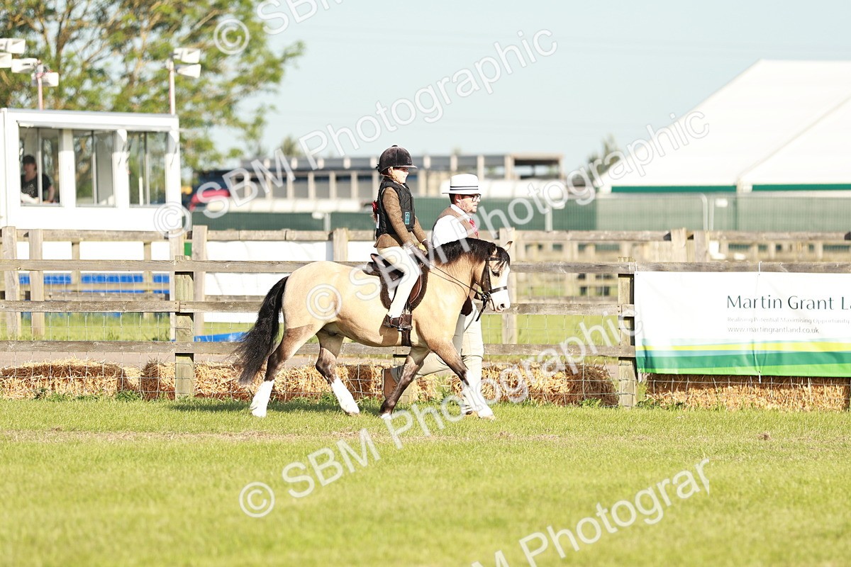 SBM_11034 - Class 106-107 - BSPS LIHS Working Sports Pony