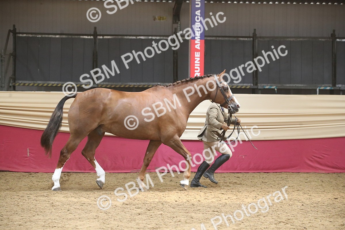 SBM_05514 - Class 9R - Regional IH Pre-Vet